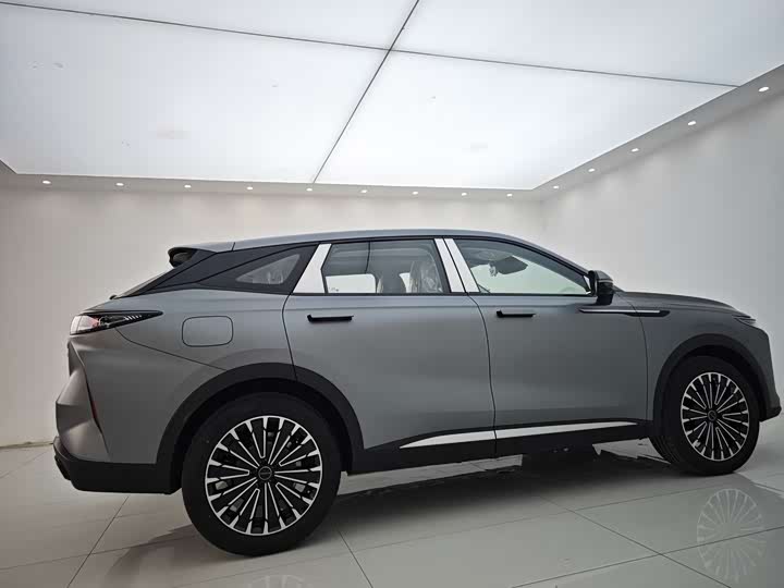 Exeed RX C-DM Hybrid 2024 2024款 1.5T 长续航Pro