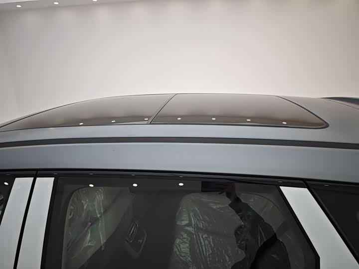 Exeed RX C-DM Hybrid 2024 2024款 1.5T 长续航Pro