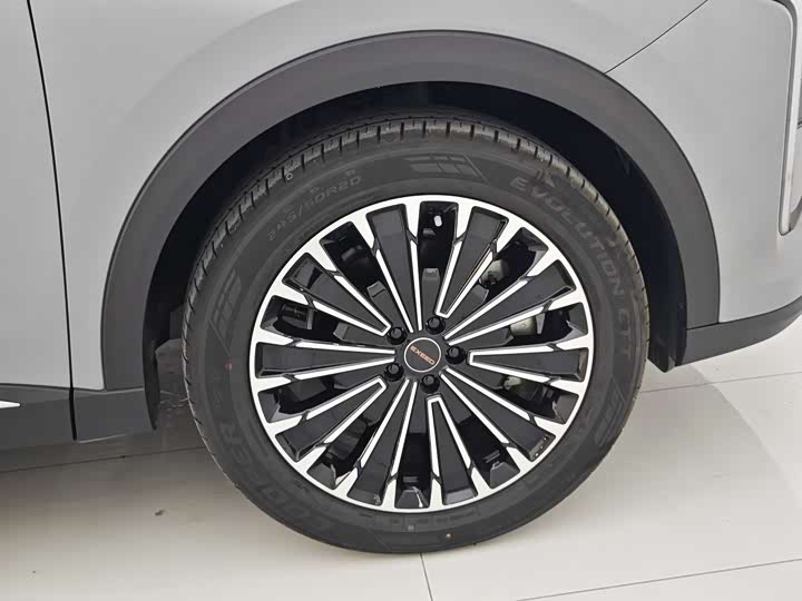 Exeed RX C-DM Hybrid 2024 2024款 1.5T 长续航Pro