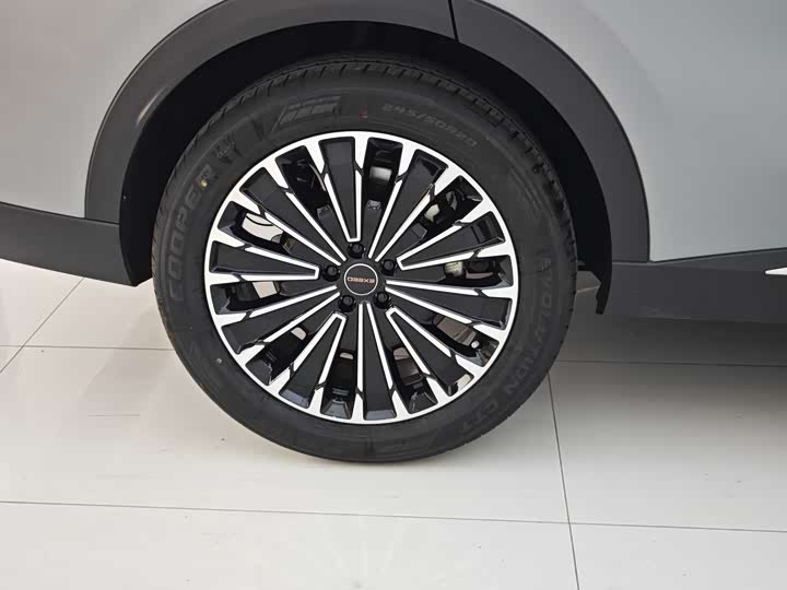 Exeed RX C-DM Hybrid 2024 2024款 1.5T 长续航Pro