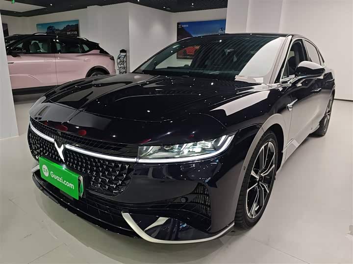 Voyah Passion 2024 2024款 PHEV 四驱超长续航旗舰版