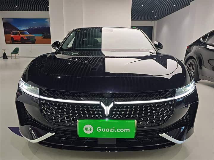 Voyah Passion 2024 2024款 PHEV 四驱超长续航旗舰版
