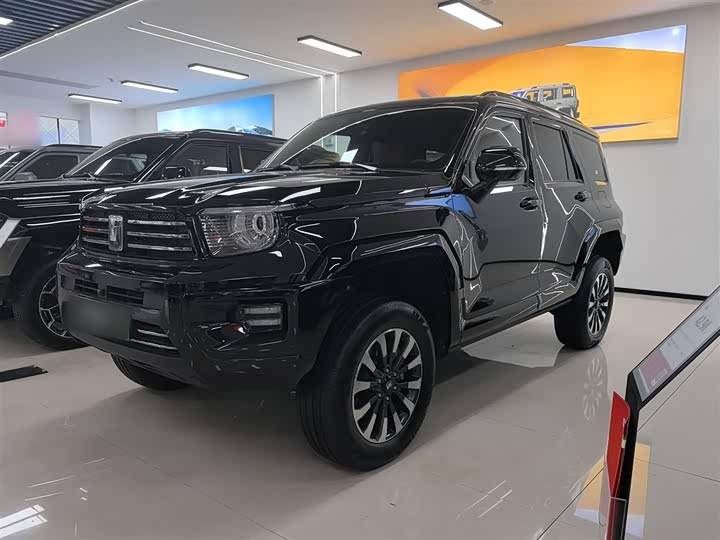 Tank 700 Hybrid 2024 2024款 Hi4-T 极境版