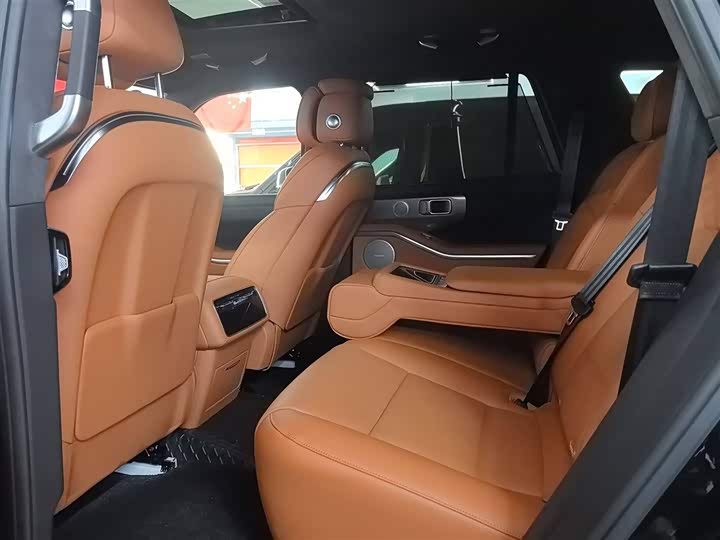 Tank 700 Hybrid 2024 2024款 Hi4-T 极境版