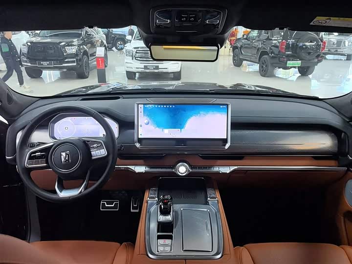 Tank 700 Hybrid 2024 2024款 Hi4-T 极境版