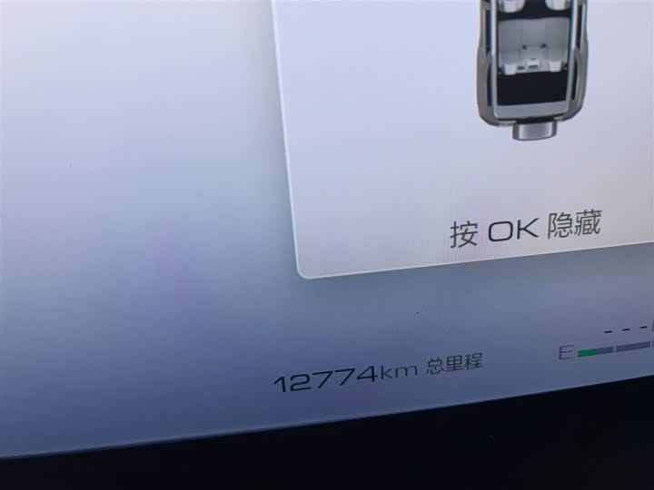 Tank 700 Hybrid 2024 2024款 Hi4-T 极境版