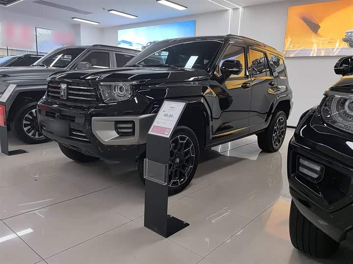 Tank 700 Hybrid 2024 2024款 Hi4-T 极境版