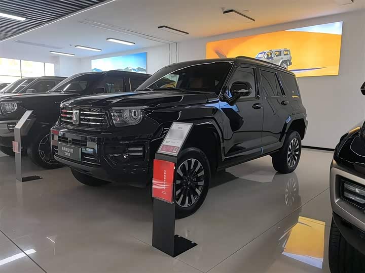 Tank 700 Hybrid 2024 2024款 Hi4-T 极境版