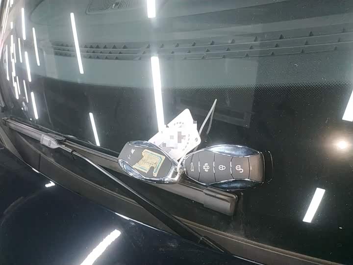 Hongqi HS7 Hybrid 2024 2024款 2.0T PHEV 四驱旗畅版 6座