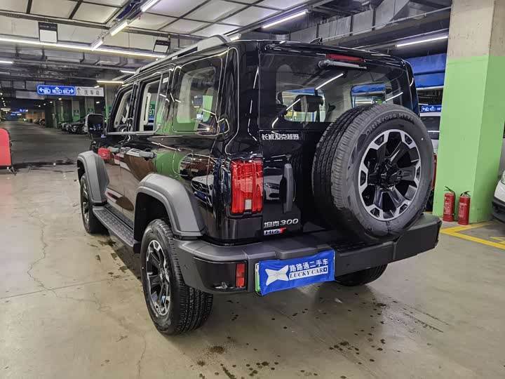 Tank 300 Hybrid 2025 2025款 Hi4-T 37.1kWh