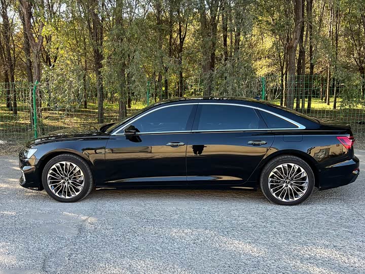 Audi A6L Hybrid 2022 2022款 55 TFSI e quattro