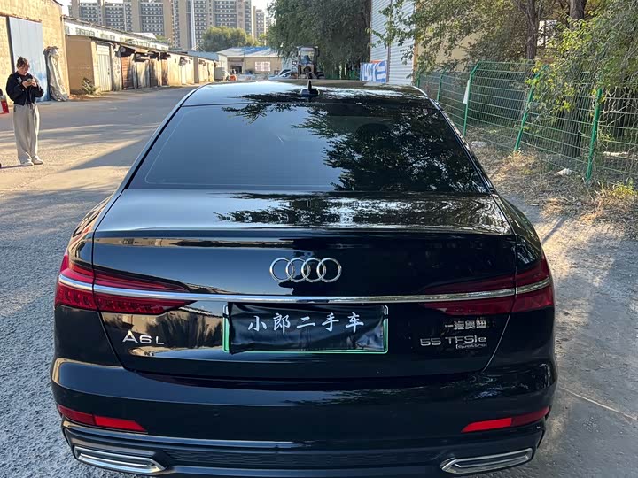 Audi A6L Hybrid 2022 2022款 55 TFSI e quattro