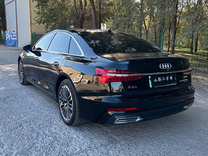 Audi A6L Hybrid 2022 2022款 55 TFSI e quattro