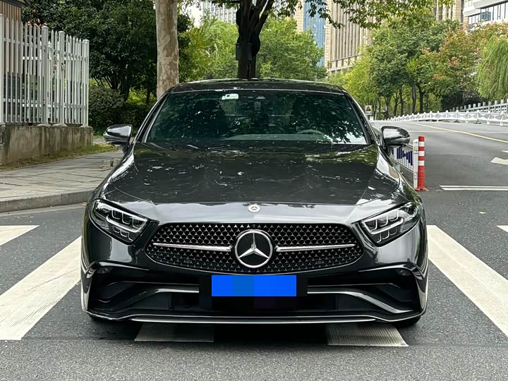 Mercedes-Benz CLS-Class 2023 2023款 CLS 300 豪华型
