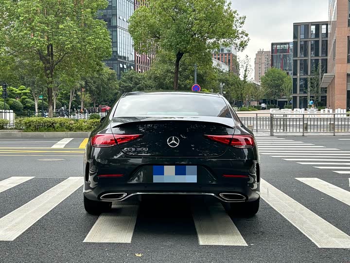 Mercedes-Benz CLS-Class 2023 2023款 CLS 300 豪华型
