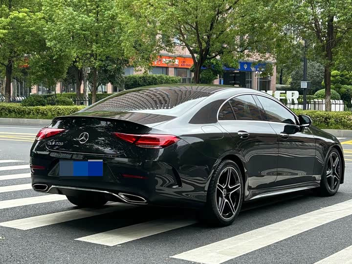 Mercedes-Benz CLS-Class 2023 2023款 CLS 300 豪华型