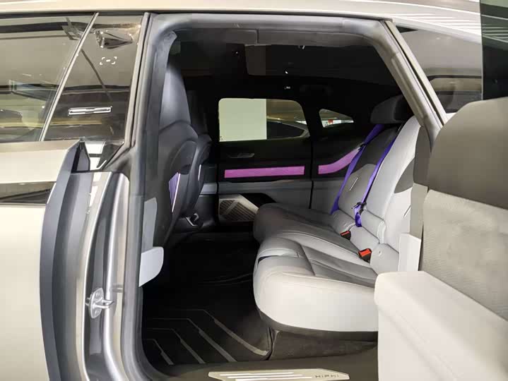 HiPhi Z 2023 2023款 城市版 五座