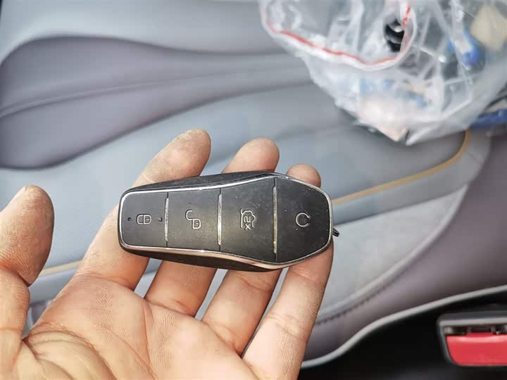 BYD Frigate 07 2023 2023款 DM-i 100KM 旗舰型