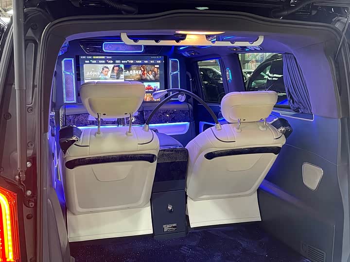 Mercedes-Benz V-Class 2021 2021款 V 260 L 长轴距豪华版