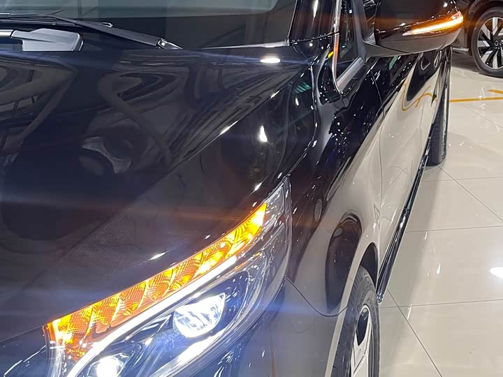 Mercedes-Benz V-Class 2021 2021款 V 260 L 长轴距豪华版