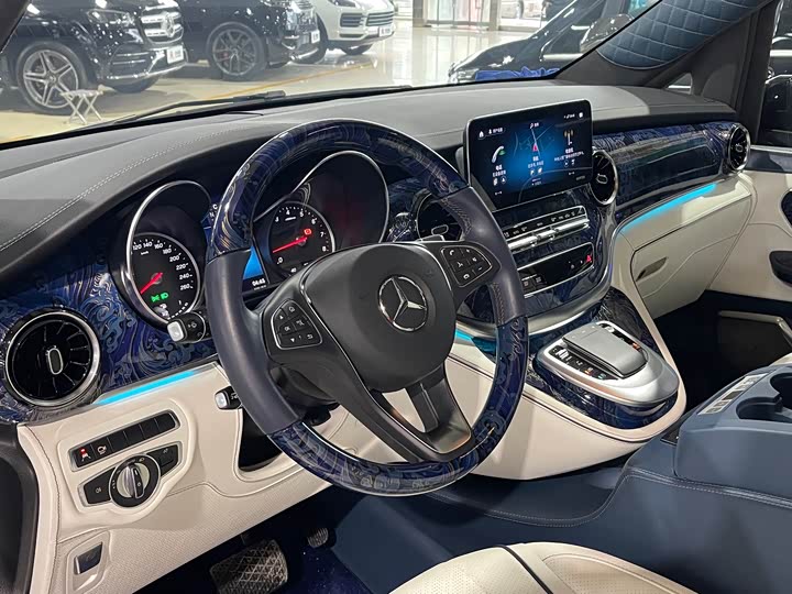 Mercedes-Benz V-Class 2021 2021款 V 260 L 长轴距豪华版