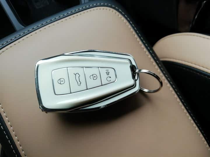 Geely Okavango Pro 2024 2024款 1.5T DCT 纵横+