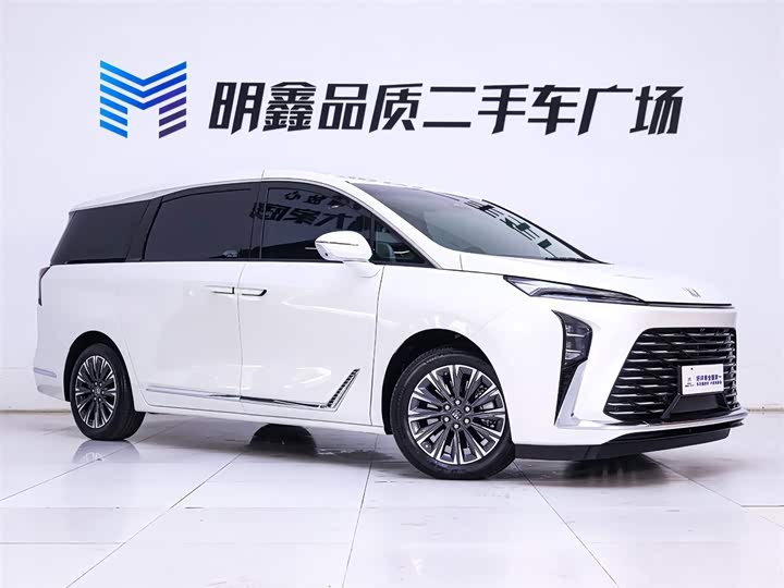 Buick GL8 ES 2025 2025款 陆尊 智享版