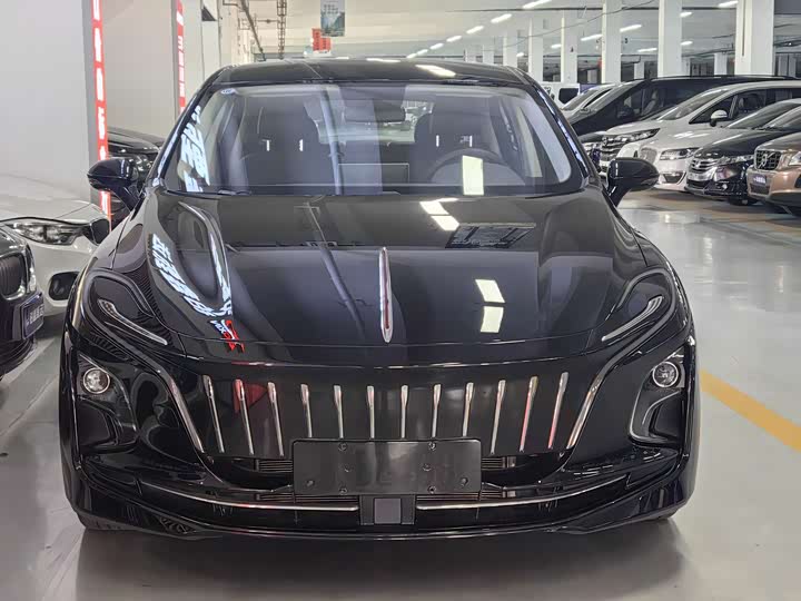 Hongqi E-QM5 2024 2024款 450km 出行版