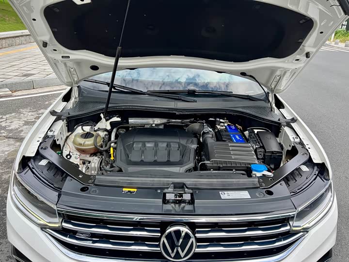 Volkswagen Tiguan X 2022 2022款 330TSI 两驱越享版