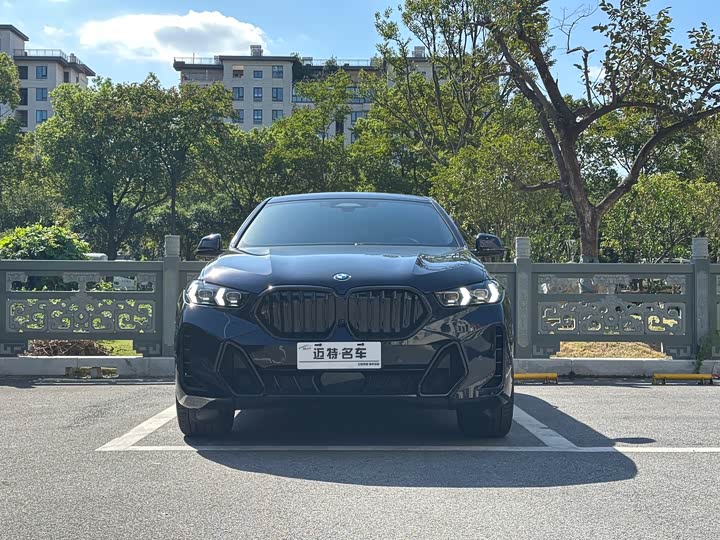 BMW X6 2023 2023款 xDrive40i 尊享型 M运动套装