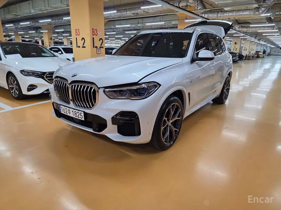 BMW X5 2019 xDrive 30d M Sport
