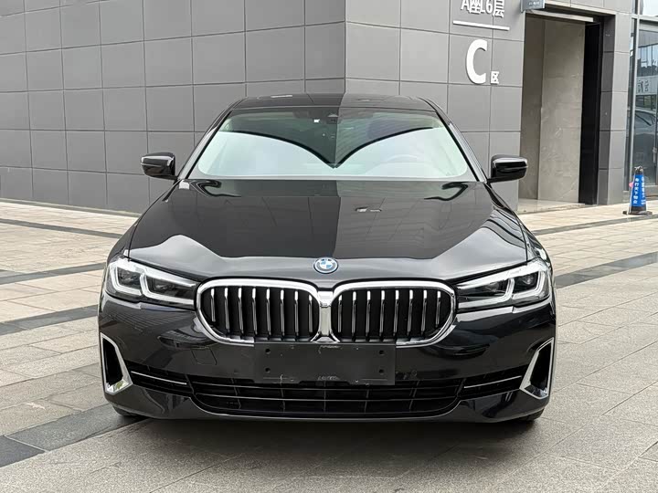 BMW 5 Series Hybrid 2022 2022款 改款二 535Le 豪华套装