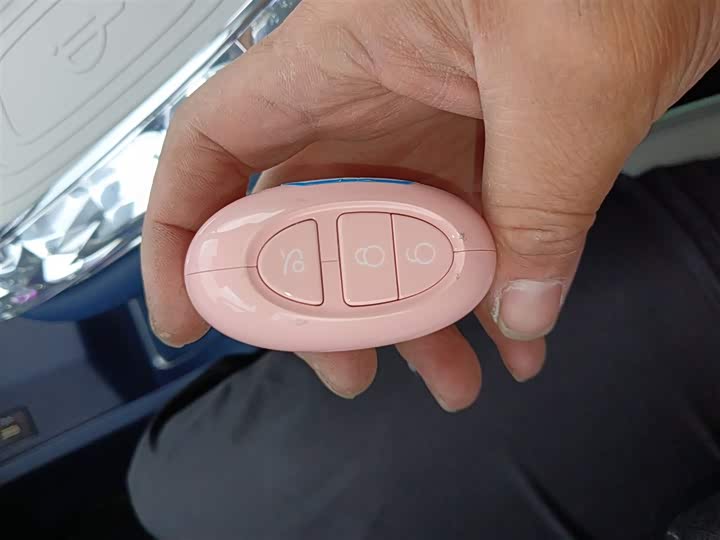 Ora Ballet Cat 2023 2023款 401km 豪华型