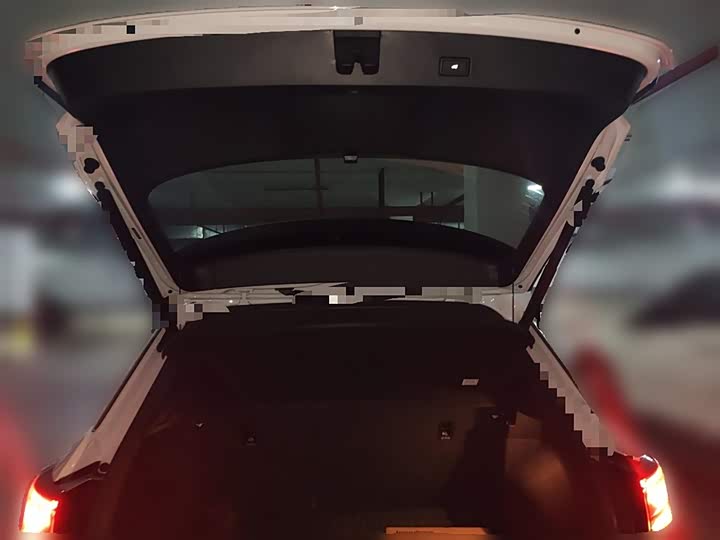 Volkswagen T-Roc 2024 2024款 300TSI DSG两驱辰光版