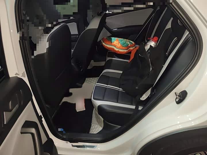 Volkswagen T-Roc 2024 2024款 300TSI DSG两驱辰光版