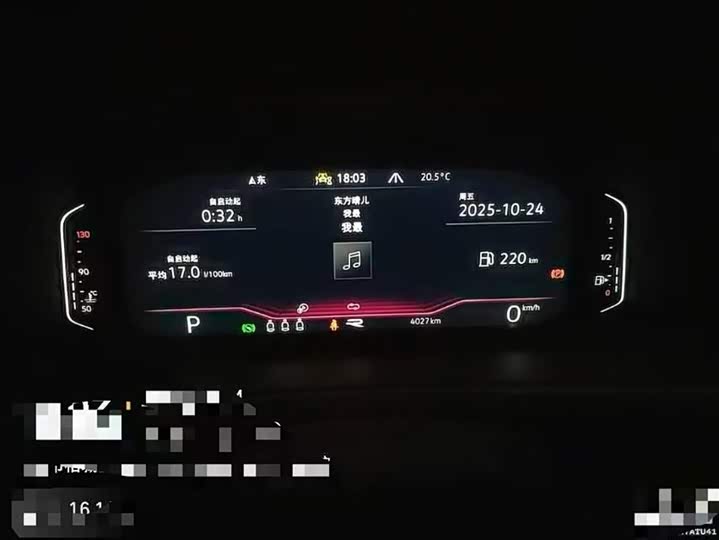 Volkswagen T-Roc 2024 2024款 300TSI DSG两驱辰光版