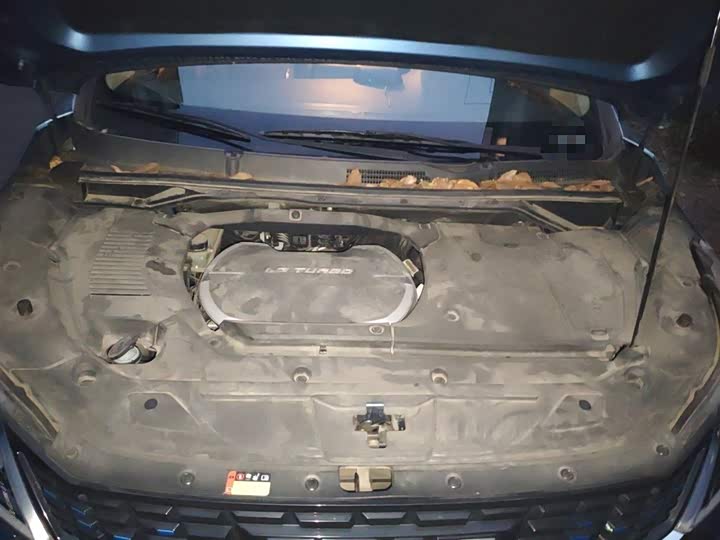 Maxus Euniq 5 2020 2020款 1.3T PLUG IN 精英版