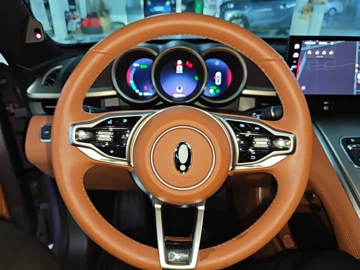 Ora Lightning Cat (07) 2022 2022款 555km 尊贵版