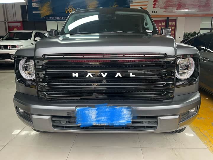 Haval H9 2024 2024款 2.0T 汽油四驱极境版