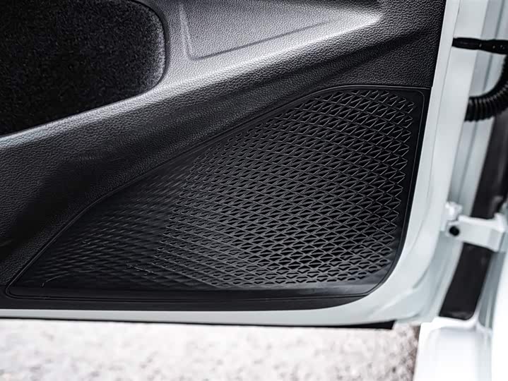 Volkswagen Golf 2025 2025款 300TSI Pro