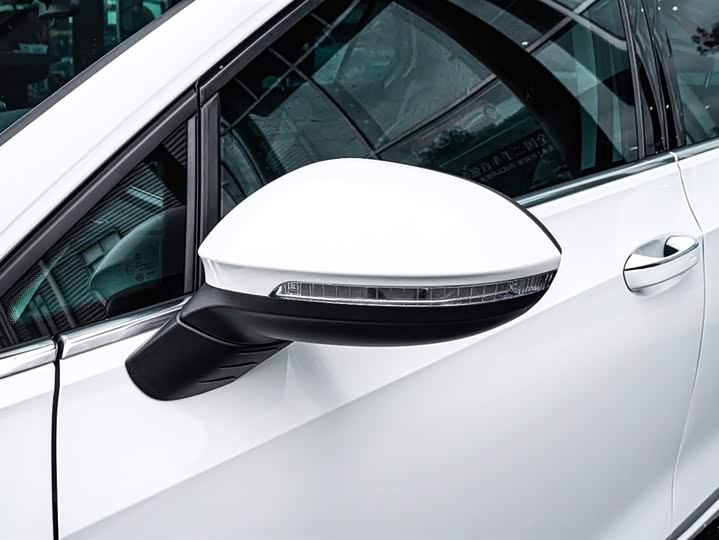 Volkswagen Golf 2025 2025款 300TSI Pro