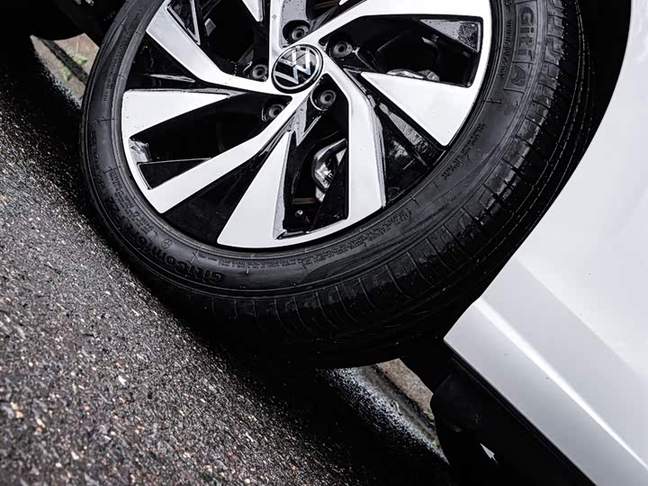 Volkswagen Golf 2025 2025款 300TSI Pro