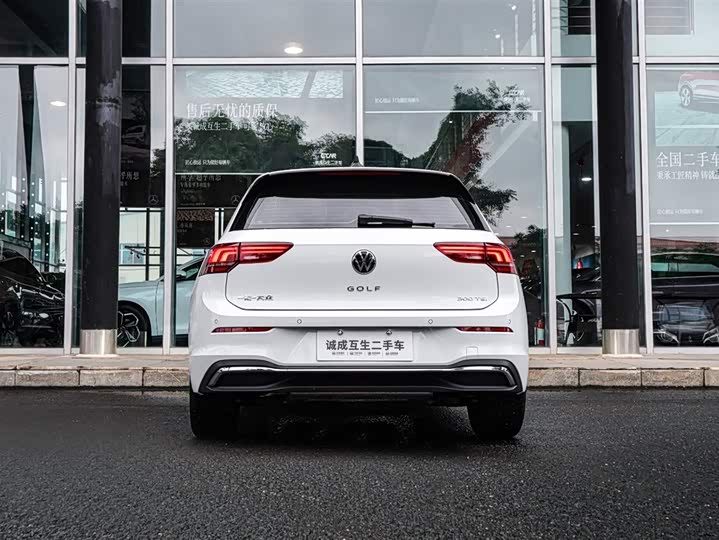 Volkswagen Golf 2025 2025款 300TSI Pro