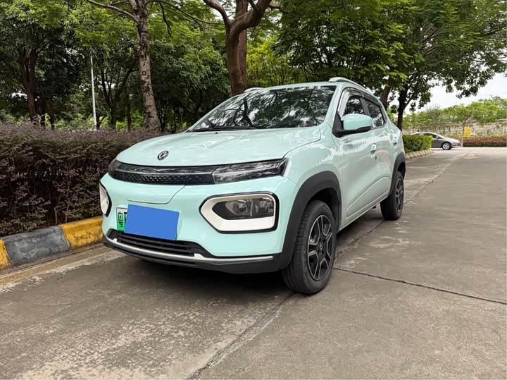 Dongfeng Nammi Nano EX1 2022 2022款 轻风版 201KM 进阶型