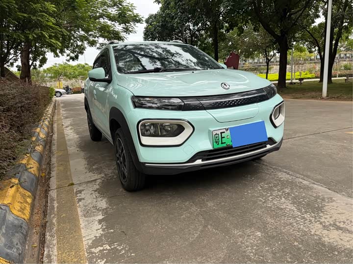 Dongfeng Nammi Nano EX1 2022 2022款 轻风版 201KM 进阶型