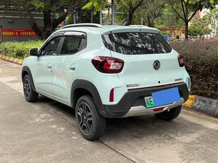 Dongfeng Nammi Nano EX1 2022 2022款 轻风版 201KM 进阶型