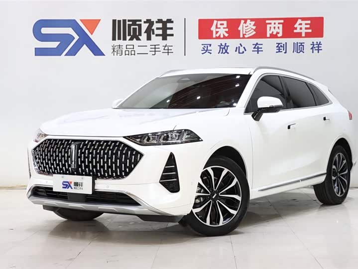 Wey Mocha 2021 2021款 2.0T 两驱特醇版