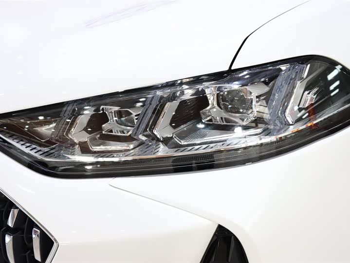 Wey Mocha 2021 2021款 2.0T 两驱特醇版