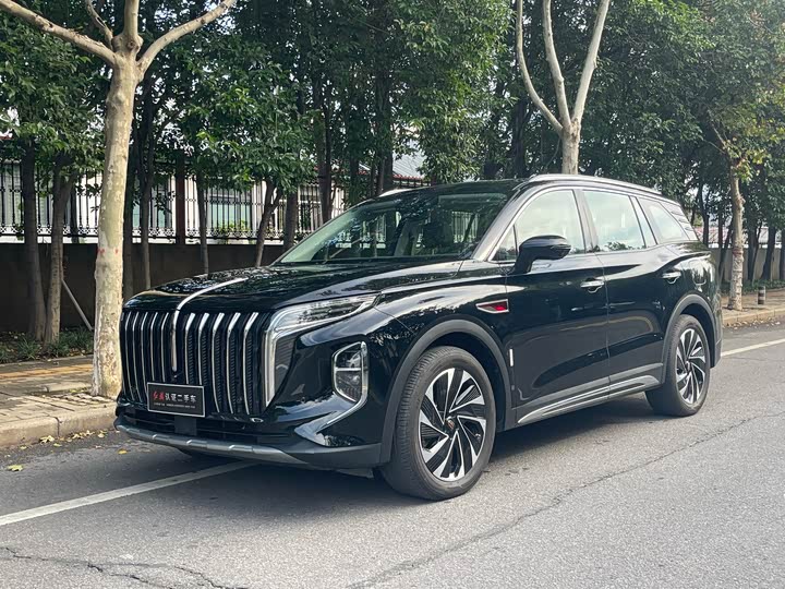 Hongqi HS7 Hybrid 2024 2024款 2.0T PHEV 四驱旗畅版 6座