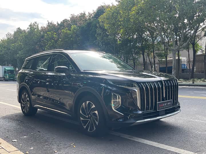 Hongqi HS7 Hybrid 2024 2024款 2.0T PHEV 四驱旗畅版 6座
